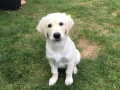 Bailey
